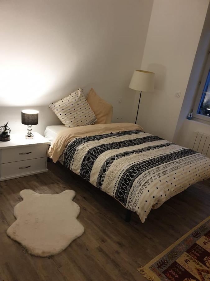 Appartement Cosy Et Chaleureux Lons-le-Saunier Esterno foto